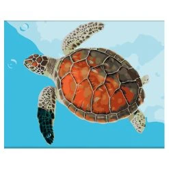 Brand new ✔️ 12 Pack: Sea Turtle Paint-by-Number Kit by Artist's Loft™ Necessities™ by Artists Loft ⌛ 10 Brand new ✔️ 12 Pack: Sea Turtle Paint-by-Number Kit by Artist's Loft™ Necessities™ by Artists Loft ⌛ -Artists Loft Sales 10624467 5 1